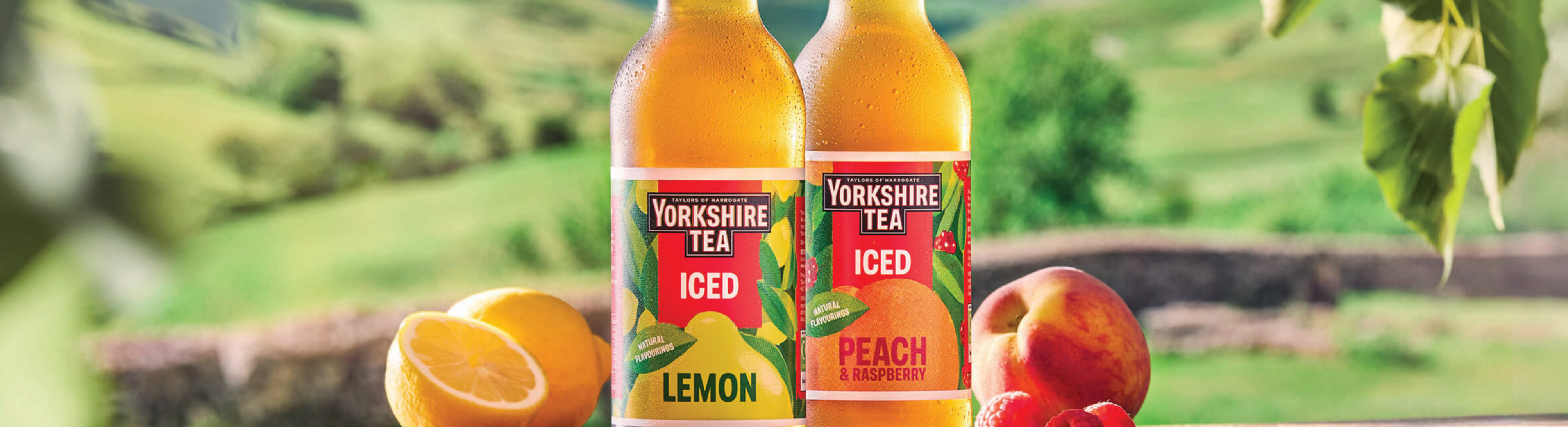 Taylors Iced Tea Banner